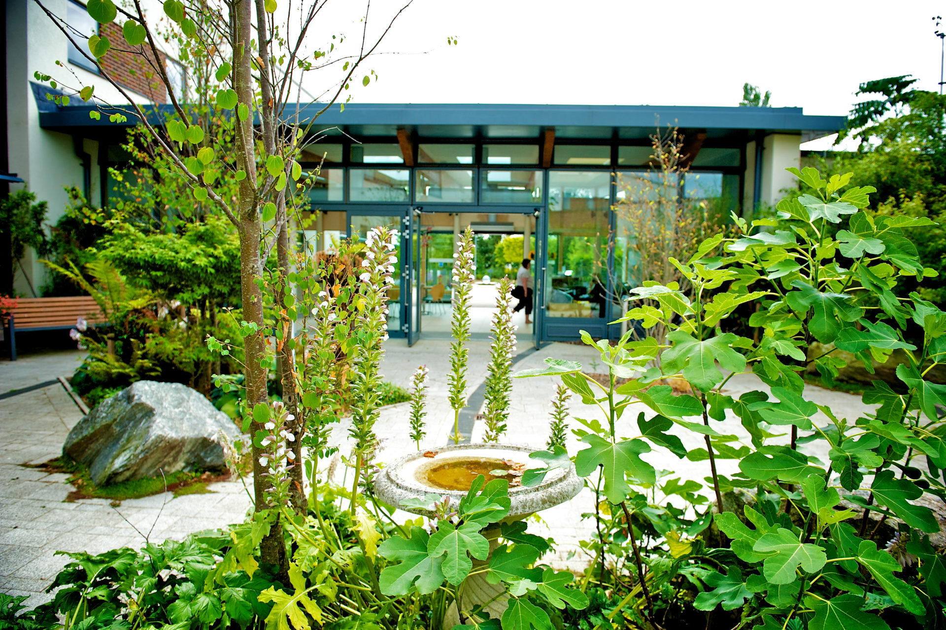 Image of the gardens at the hospice