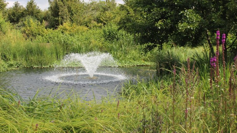 Image of the fountain in the St Barnabas House gardens