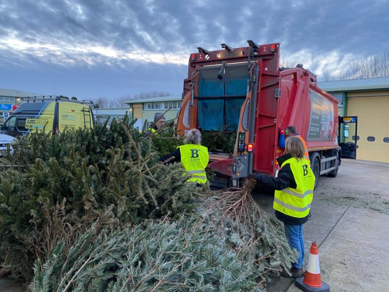 Christmas tree recycling 2021