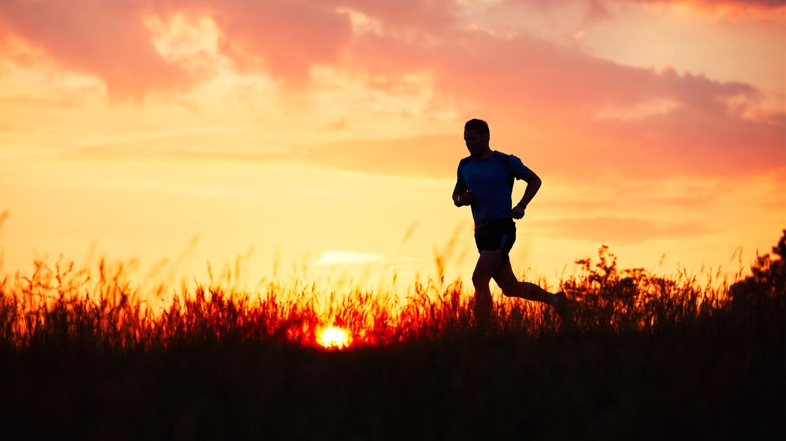 Trail runner at sunset